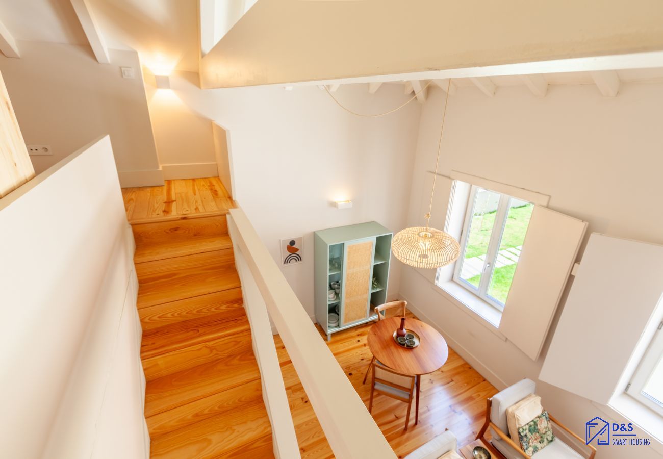 Studio in Porto - D&S -JB Apartments - C